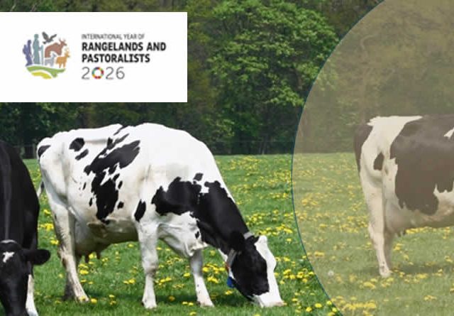 2026, el año para poner en valor el pastoreo