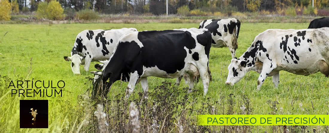 Manejo del pastoreo en vacuno mediante tecnologías de Precisión