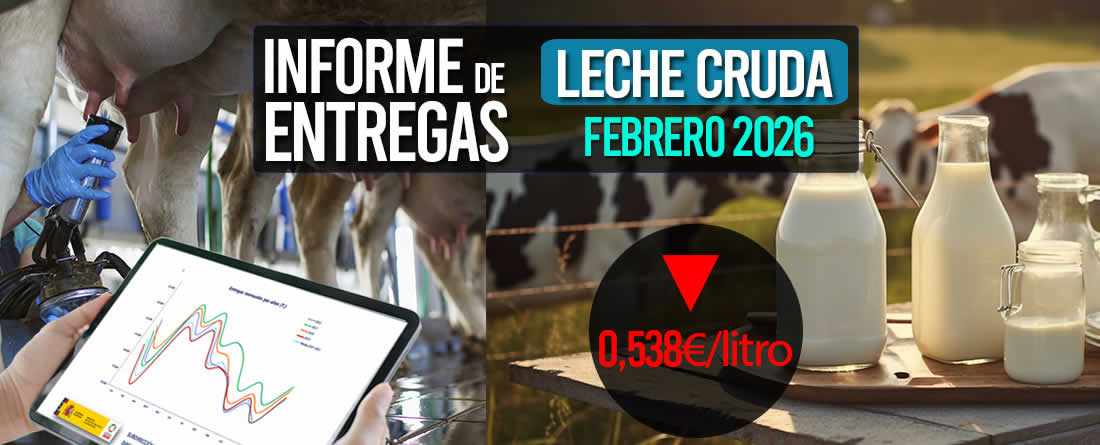 El precio medio de la leche cruda de febrero 2026 bajó a 0,538€/litro