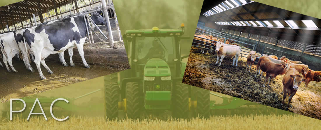 COAG reclama al Ministerio de Agricultura que amplíe hasta el 31 de mayo el plazo para solicitar las ayudas PAC 2026