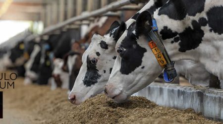 Hacia unos aditivos más sostenibles: perspectiva multidimensional