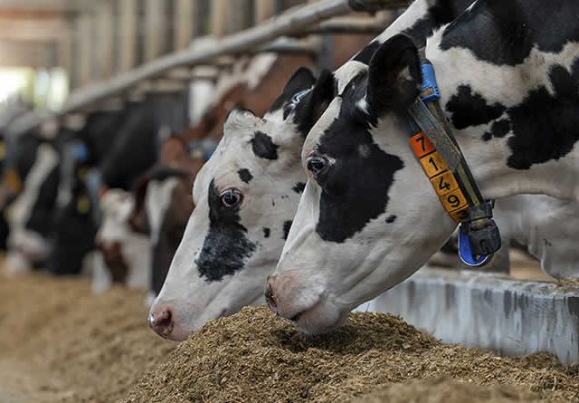 Hacia unos aditivos más sostenibles: perspectiva multidimensional