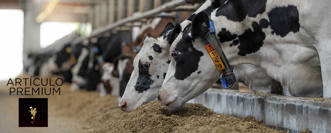 Hacia unos aditivos más sostenibles: perspectiva multidimensional