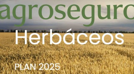 Agroseguro presenta al sector la evolución de los seguros agrarios durante el ejercicio 2025
