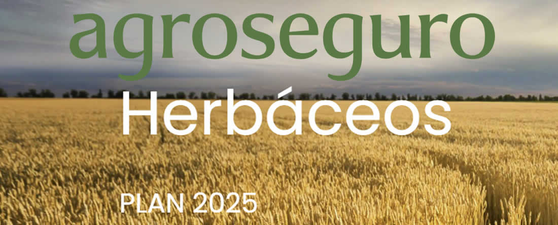 Agroseguro presenta al sector la evolución de los seguros agrarios durante el ejercicio 2025