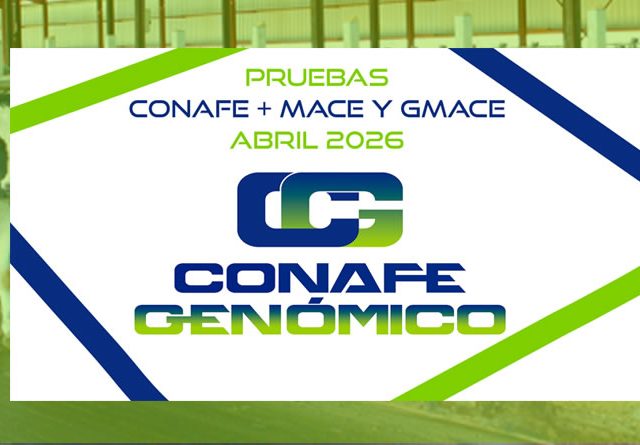 Nueva evaluación genética CONAFE de vacuno de raza frisona + MACE y GMACE de abril 2026