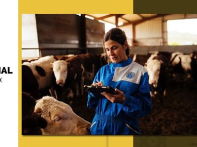 Provacuno lanza una aplicación web para medir la huella de carbono del vacuno de carne en España