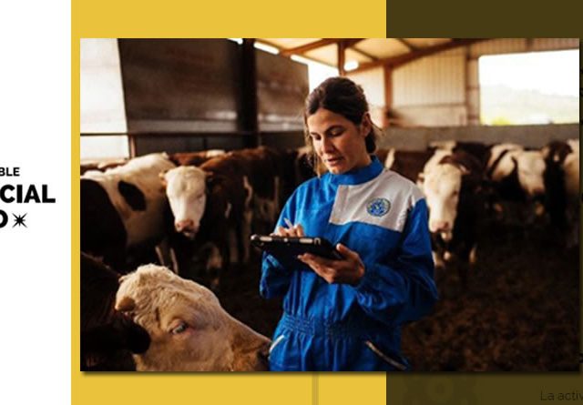 Provacuno lanza una aplicación web para medir la huella de carbono del vacuno de carne en España