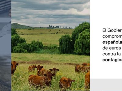 Un millón de euros más para luchar contra la dermatosis nodular contagiosa