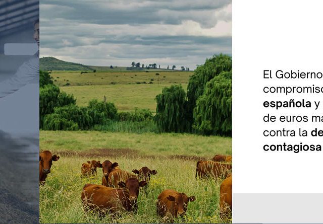 Un millón de euros más para luchar contra la dermatosis nodular contagiosa