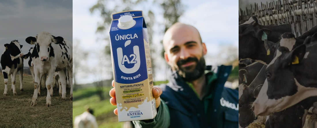 Leche Únicla A2 presenta en la UVigo la evidencia científica de sus beneficios para la salud