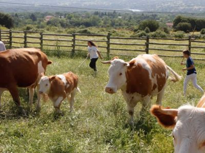 UPA: "¿Hay razones para que los agricultores y ganaderos se opongan a los ODS y el Pacto Verde Europeo?"