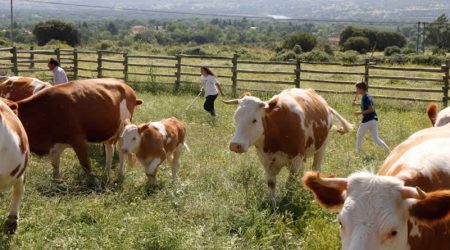 UPA: "¿Hay razones para que los agricultores y ganaderos se opongan a los ODS y el Pacto Verde Europeo?"