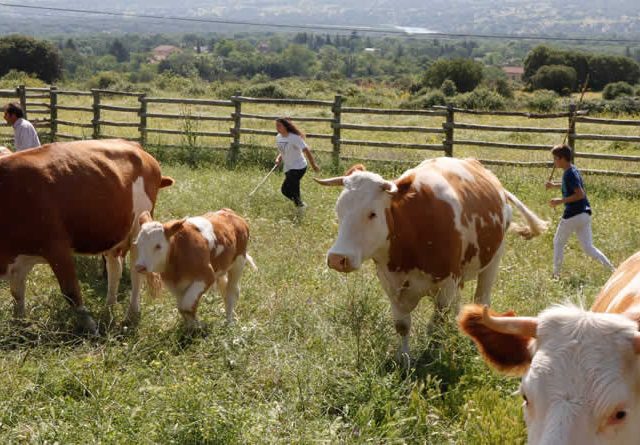 UPA: "¿Hay razones para que los agricultores y ganaderos se opongan a los ODS y el Pacto Verde Europeo?"