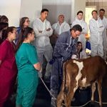 Zoetis refuerza la precisión diagnóstica en rumiantes con dos nuevos cursos especializados en la UCM