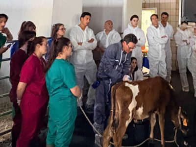 Zoetis refuerza la precisión diagnóstica en rumiantes con dos nuevos cursos especializados en la UCM