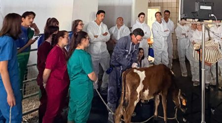 Zoetis refuerza la precisión diagnóstica en rumiantes con dos nuevos cursos especializados en la UCM