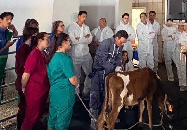 Zoetis refuerza la precisión diagnóstica en rumiantes con dos nuevos cursos especializados en la UCM