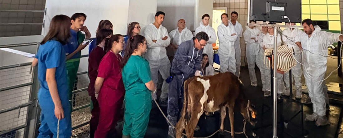 Zoetis refuerza la precisión diagnóstica en rumiantes con dos nuevos cursos especializados en la UCM