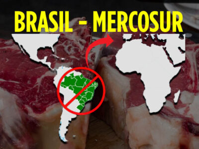 La UE prohibirá la entrada de carne de Brasil en Septiembre
