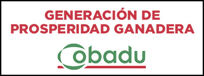 COBADU_banner_mentcorpE54