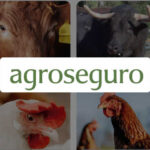 Agroseguro presenta en Valladolid las novedades del Plan 2026 de seguros pecuarios, que entra en vigor el próximo lunes 1 de junio