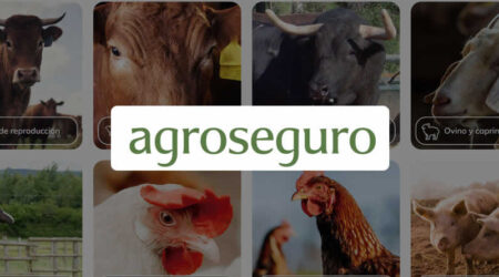 Agroseguro presenta en Valladolid las novedades del Plan 2026 de seguros pecuarios, que entra en vigor el próximo lunes 1 de junio