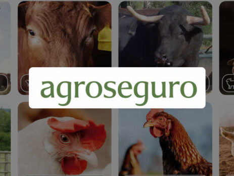 Agroseguro presenta en Valladolid las novedades del Plan 2026 de seguros pecuarios, que entra en vigor el próximo lunes 1 de junio