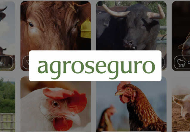 Agroseguro presenta en Valladolid las novedades del Plan 2026 de seguros pecuarios, que entra en vigor el próximo lunes 1 de junio