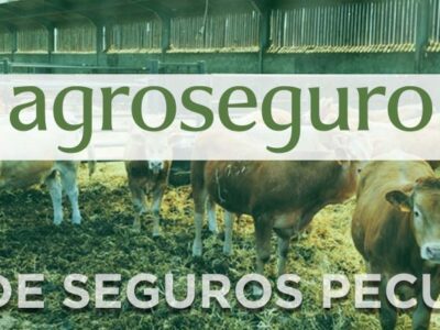 El próximo lunes, 1 de junio, entra en vigor el Plan 2026 de seguros pecuarios, que incluye 15 líneas ganaderas