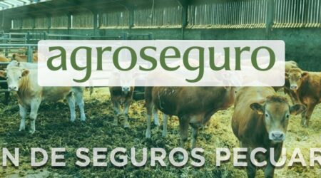 El próximo lunes, 1 de junio, entra en vigor el Plan 2026 de seguros pecuarios, que incluye 15 líneas ganaderas