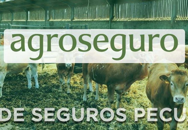 El próximo lunes, 1 de junio, entra en vigor el Plan 2026 de seguros pecuarios, que incluye 15 líneas ganaderas