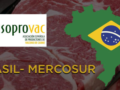 La comisión europea da la razón a Asoprovac y suspende las importaciones de carne de Brasil