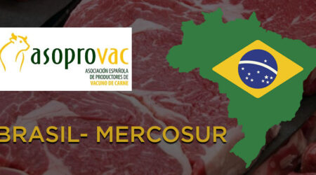 La comisión europea da la razón a Asoprovac y suspende las importaciones de carne de Brasil