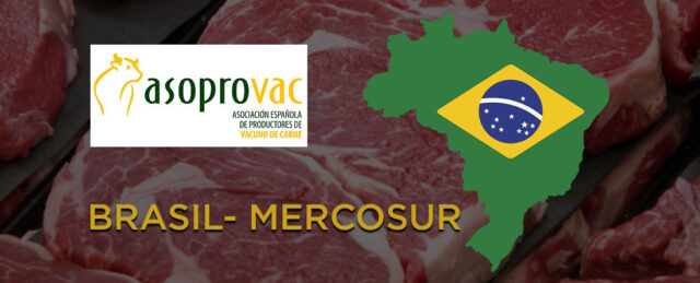 La comisión europea da la razón a Asoprovac y suspende las importaciones de carne de Brasil