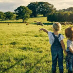 Mapfre lanza descuentos de hasta el 40% en seguros agro para impulsar la protección del campo