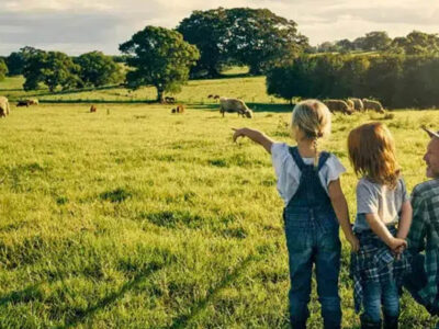 Mapfre lanza descuentos de hasta el 40% en seguros agro para impulsar la protección del campo