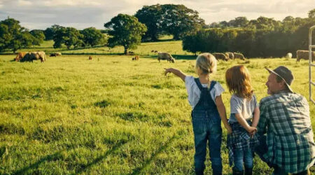 Mapfre lanza descuentos de hasta el 40% en seguros agro para impulsar la protección del campo