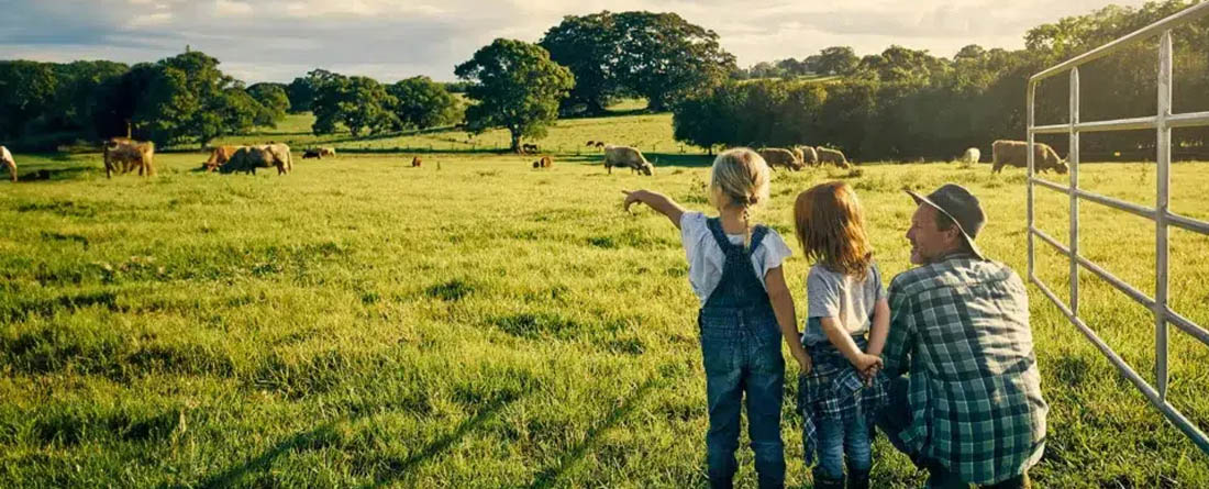 Mapfre lanza descuentos de hasta el 40% en seguros agro para impulsar la protección del campo
