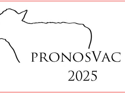 Lleida acogerá la novena edición de los Premios PronosVac de Mercolleida