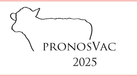 Lleida acogerá la novena edición de los Premios PronosVac de Mercolleida