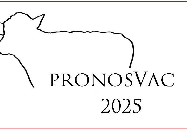 Lleida acogerá la novena edición de los Premios PronosVac de Mercolleida