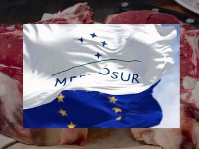 Unión de Uniones critica que la Comisión siga adelante en solitario con la aplicación provisional del acuerdo UE-Mercosur, en vigor a partir de mañana, 1 de mayo