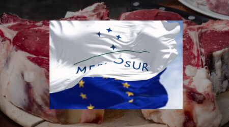 Unión de Uniones critica que la Comisión siga adelante en solitario con la aplicación provisional del acuerdo UE-Mercosur, en vigor a partir de mañana, 1 de mayo
