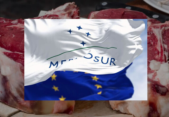 Unión de Uniones critica que la Comisión siga adelante en solitario con la aplicación provisional del acuerdo UE-Mercosur, en vigor a partir de mañana, 1 de mayo