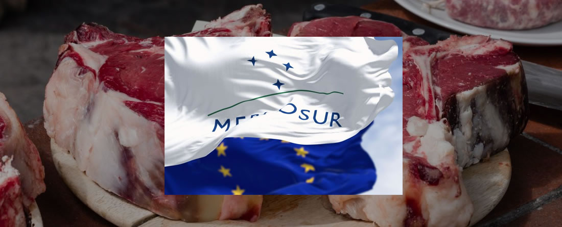 Unión de Uniones critica que la Comisión siga adelante en solitario con la aplicación provisional del acuerdo UE-Mercosur, en vigor a partir de mañana, 1 de mayo