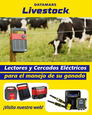 Banner Vacuno de Élite Noviembre 2025 (300x375px)