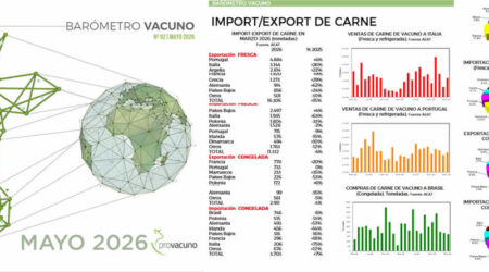 PROVACUNO publica el Barómetro Vacuno para Mayo 2026