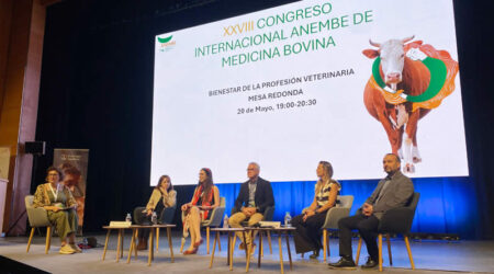 Boehringer Ingelheim promueve la reflexión sobre el bienestar emocional y la salud laboral de los veterinarios en el Congreso ANEMBE