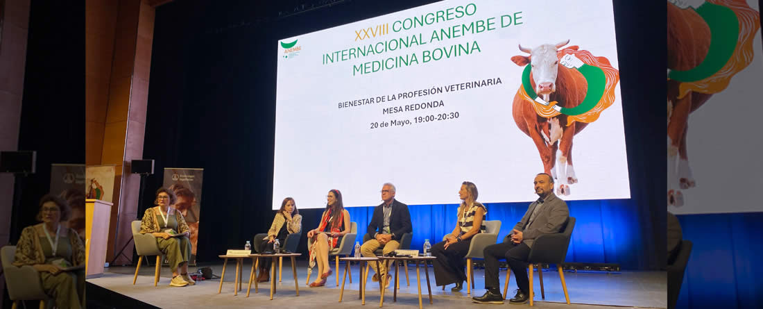 Boehringer Ingelheim promueve la reflexión sobre el bienestar emocional y la salud laboral de los veterinarios en el Congreso ANEMBE